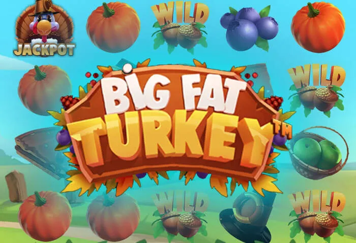 Official Spinyoo Casino app and game download store
